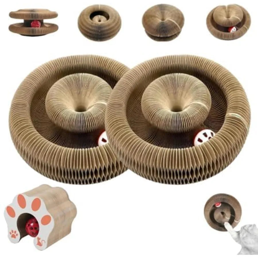 Magic Cat Toy for Indoor Cats