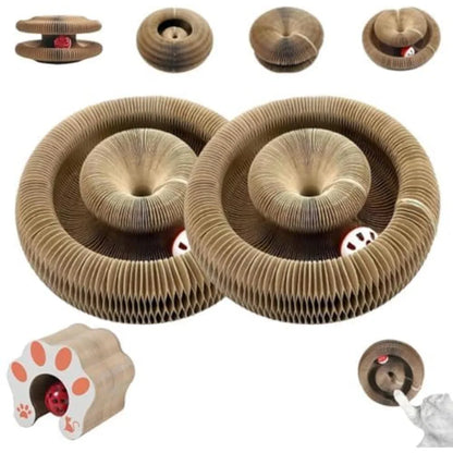 Magic Cat Toy for Indoor Cats