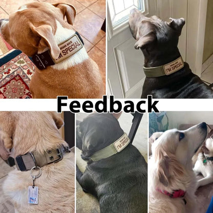 Adjustable Military Dog Collar