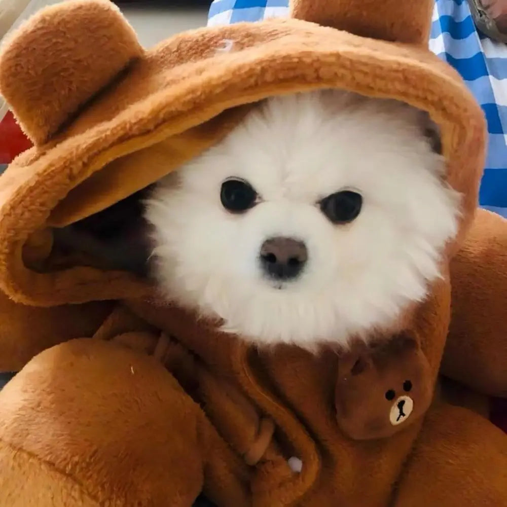 Cozy Plush Dog Purse w/Secure Harness Clip