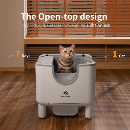 Open Top Self-Cleaning Automatic Litter Box