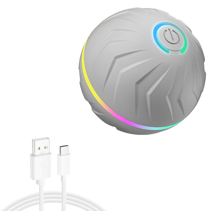 Intelligent, Interactive dog toy