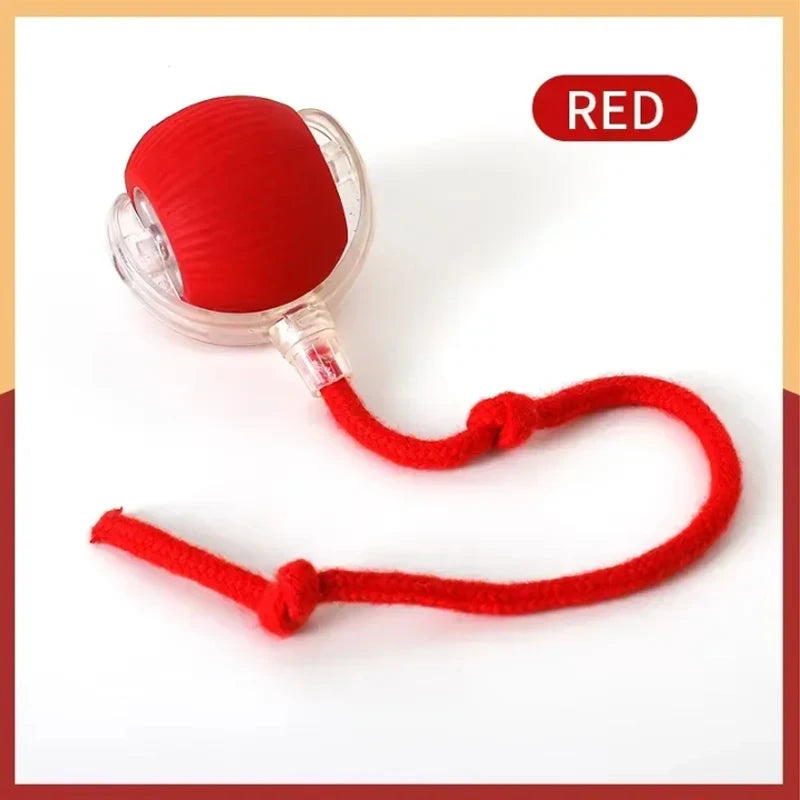 Self-satisfying Cat Toy