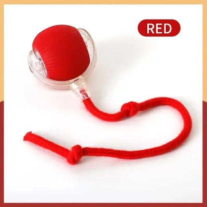 Self-satisfying Cat Toy