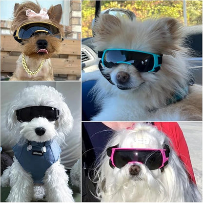 Small Breed Dog Sunglasses/Goggles