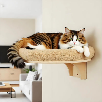 Wall Mounted Solid Wooden Furniture
