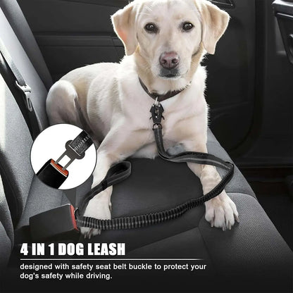 Reflective Shock Absorbing Leashes