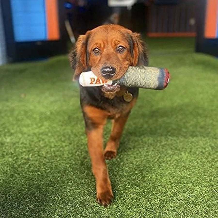 Cigar Design Interactive Dog Toy