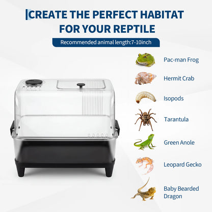 Small Reptile Tank Starter Kit