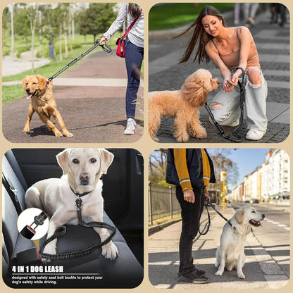 Reflective Shock Absorbing Leashes