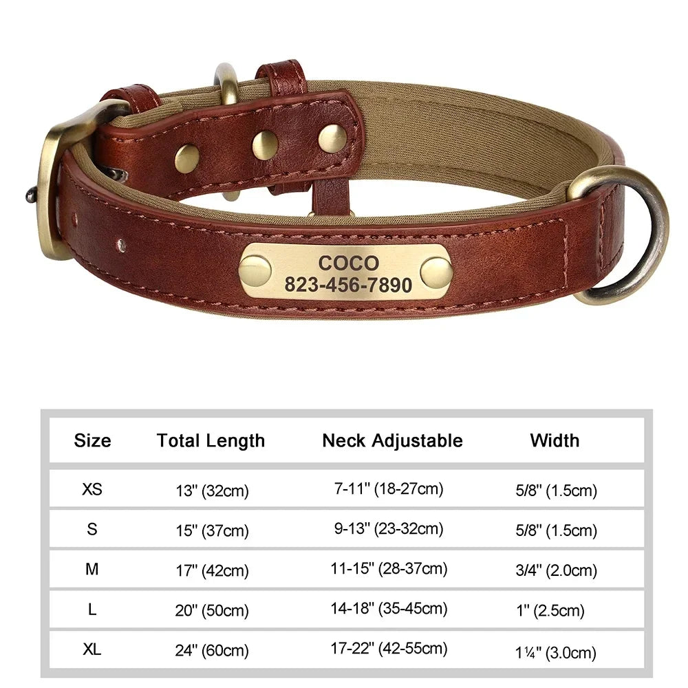 Customized Leather ID Nameplate Collar