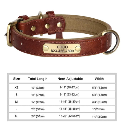 Customized Leather ID Nameplate Collar