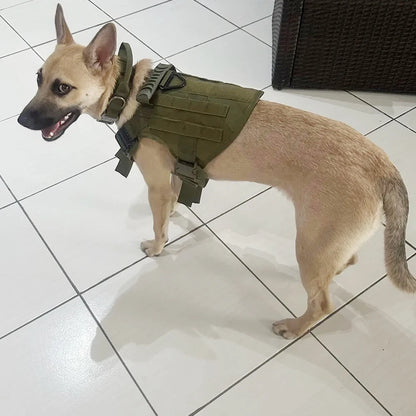 Adjustable Tactical Vest Harness & Durable Nylon Collar