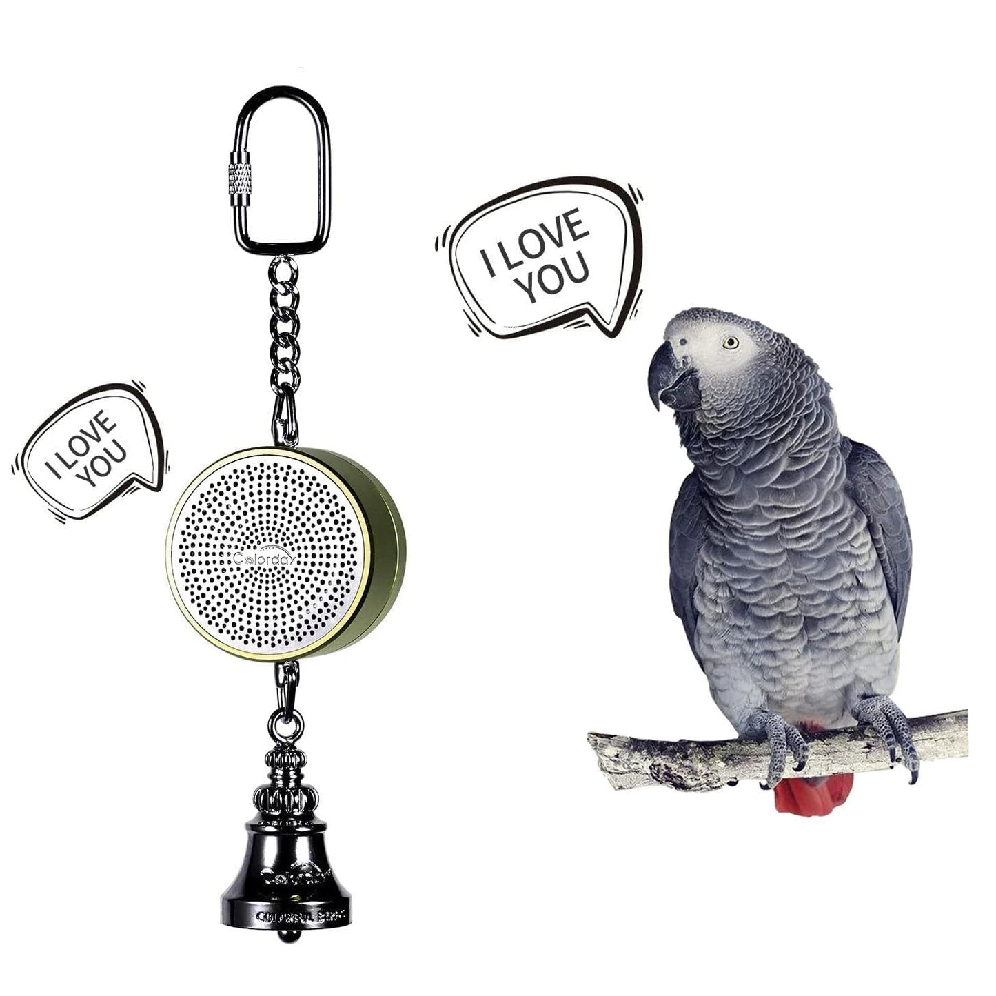 Parrot Teaching, Training Toys