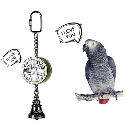 Parrot Teaching, Training Toys