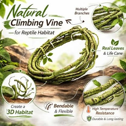 Flexible Jungle Climbing Vines
