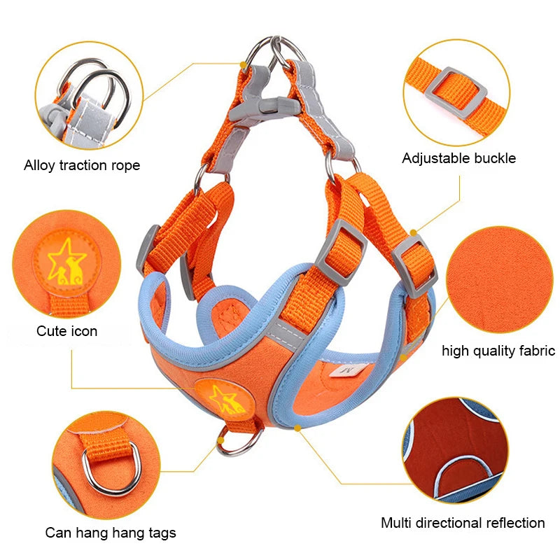 Sm/Med Reflective Vest & Leash for Walking