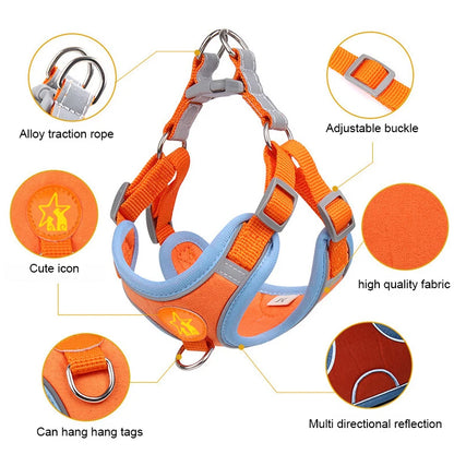 Sm/Med Reflective Vest & Leash for Walking