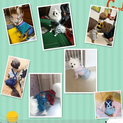 Small to Med Denim Dog Clothing