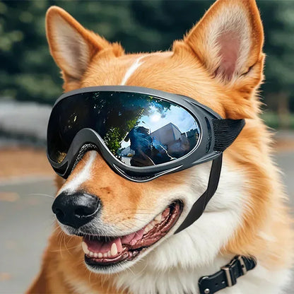 Adjustable Anti UV Glare Goggles