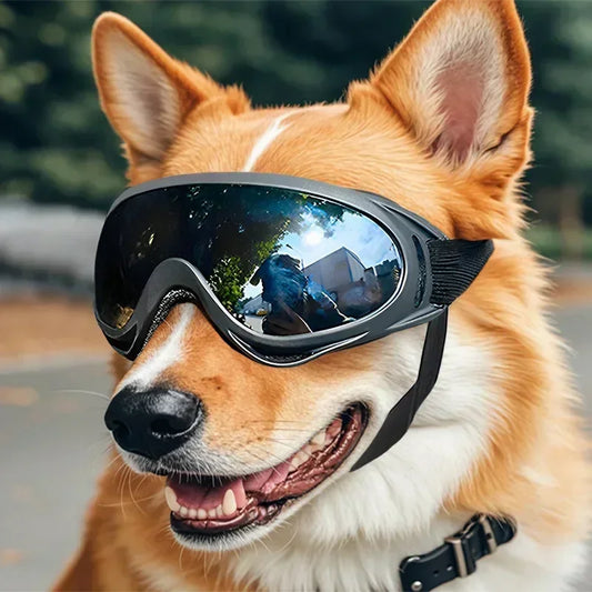 Adjustable Anti UV Glare Goggles