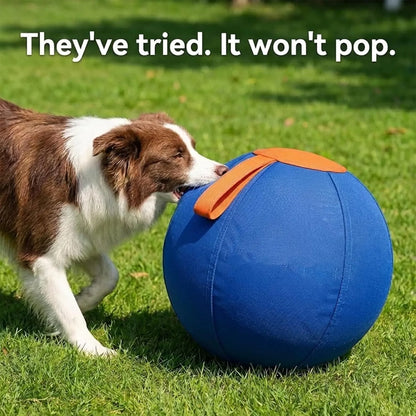 Extra Large Ruckus Herding Ball