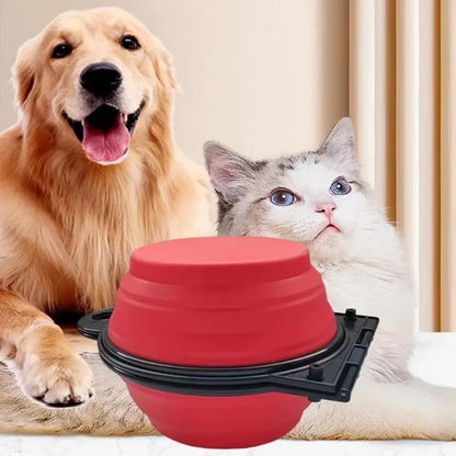 1-piece, 2-in-1 Foldable Dual Bowl