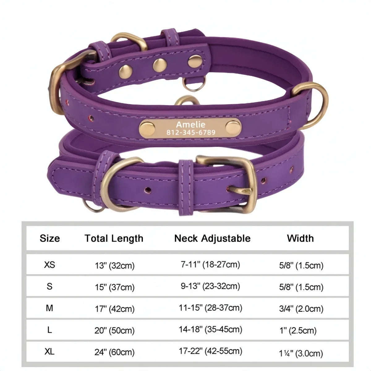 Customized Leather ID Nameplate Collar