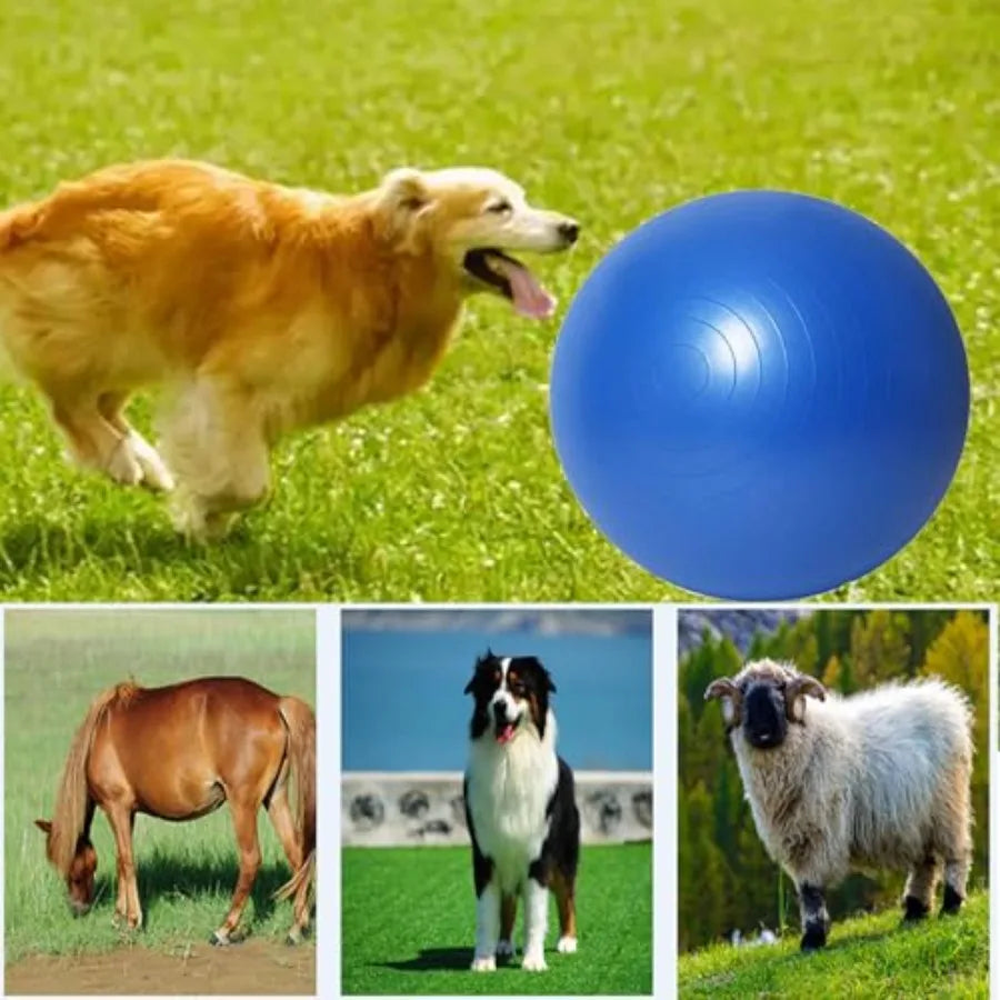 25" Heavy Duty Blue Herding Ball