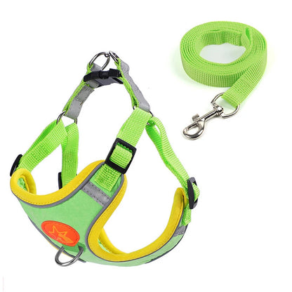 Sm/Med Reflective Vest & Leash for Walking
