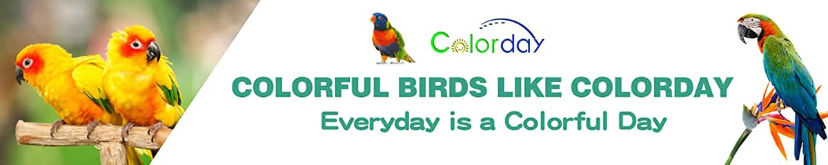 Parrot Teaching, Training Toys