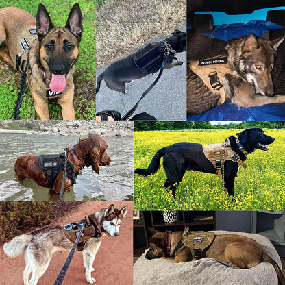 Med/Lg Harness, Leash Set for Walking and Training