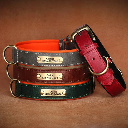 Customized Leather ID Nameplate Collar