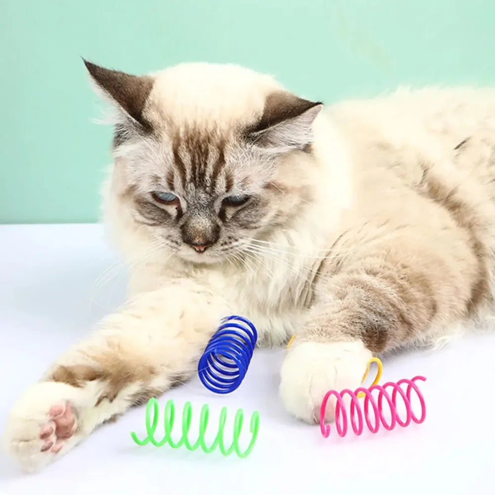 12PCS 12Colors Cat Spring Toys for Indoor Cats