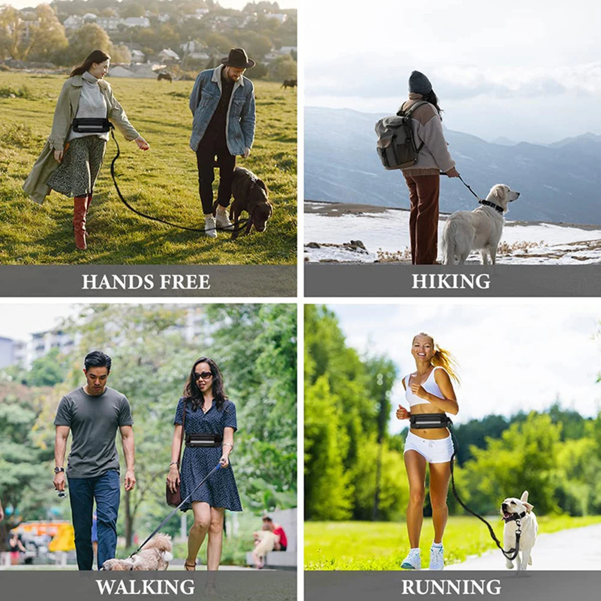 Hands Free Reflective Leash w/Waist Bag
