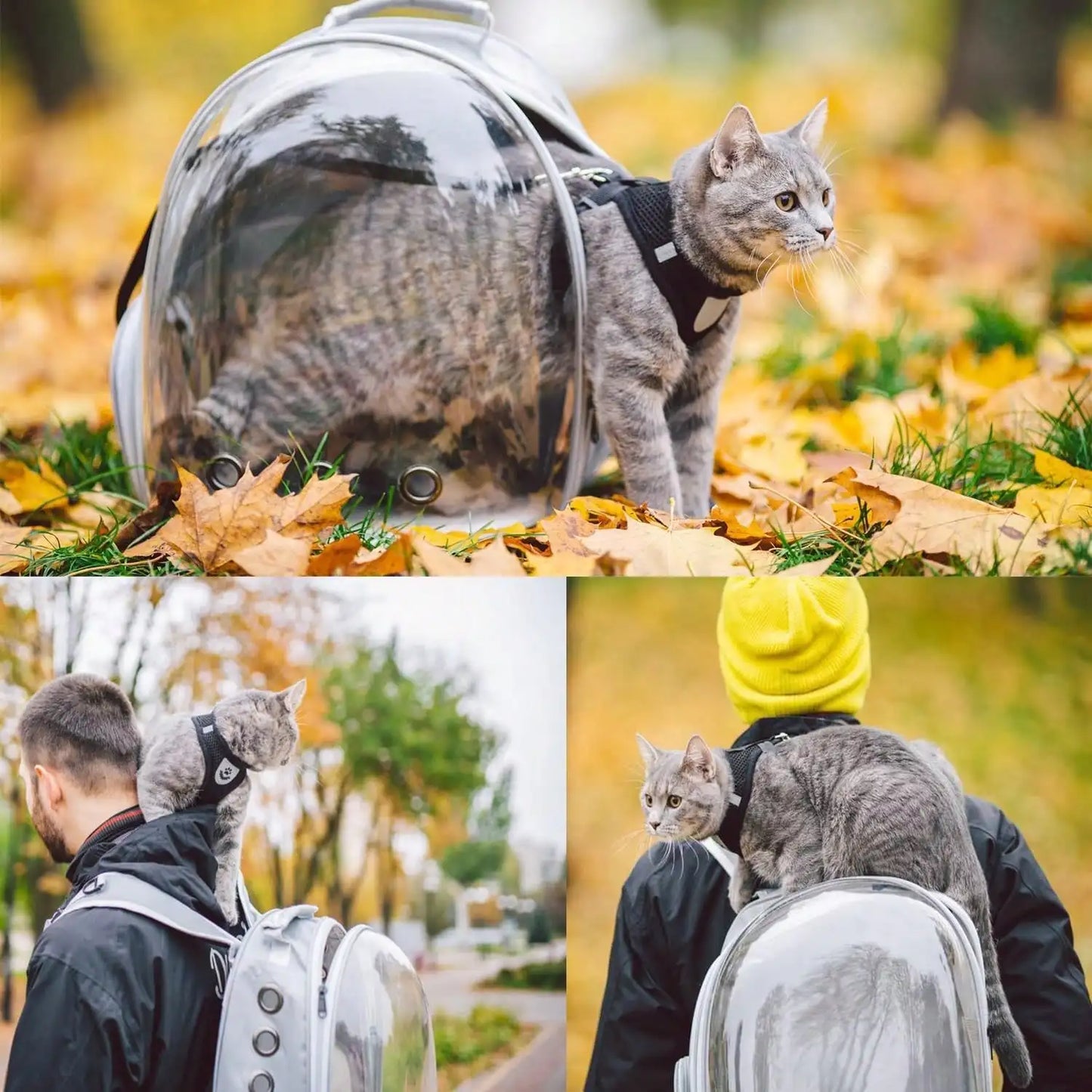 Pet Backpack for Travel & Outdoors