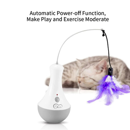 Funny Interactive Cat Teaser