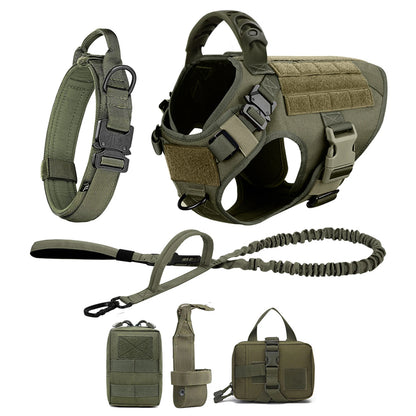 Large Dog Harness & Leash Set