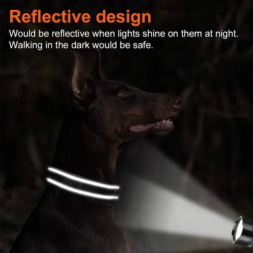 Adjustable Reflective Dog Collar