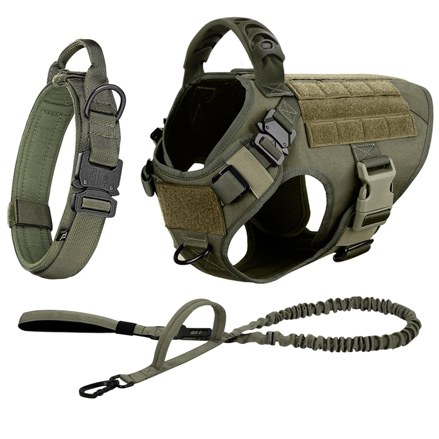 Large Dog Harness & Leash Set