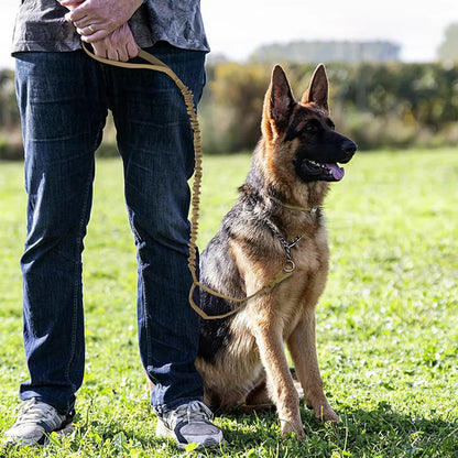 Adjustable Military Dog Leashes