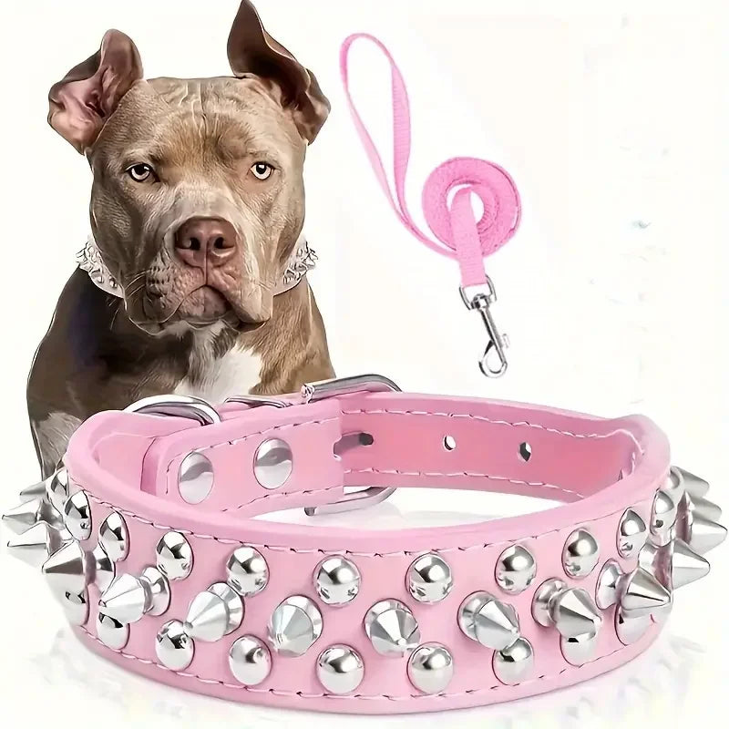 Adjustable, Leather Spiked Dog Collar and Leash Set