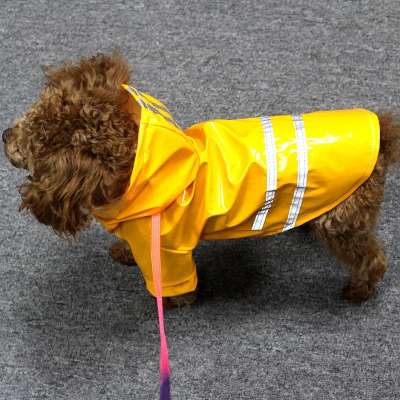 Summer Outdoor Puppy Rain Coat