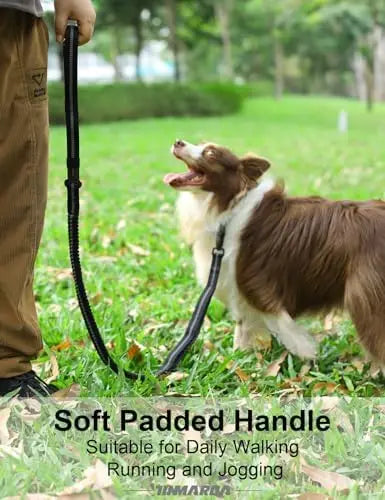 Durable leash for medium/large dogs,