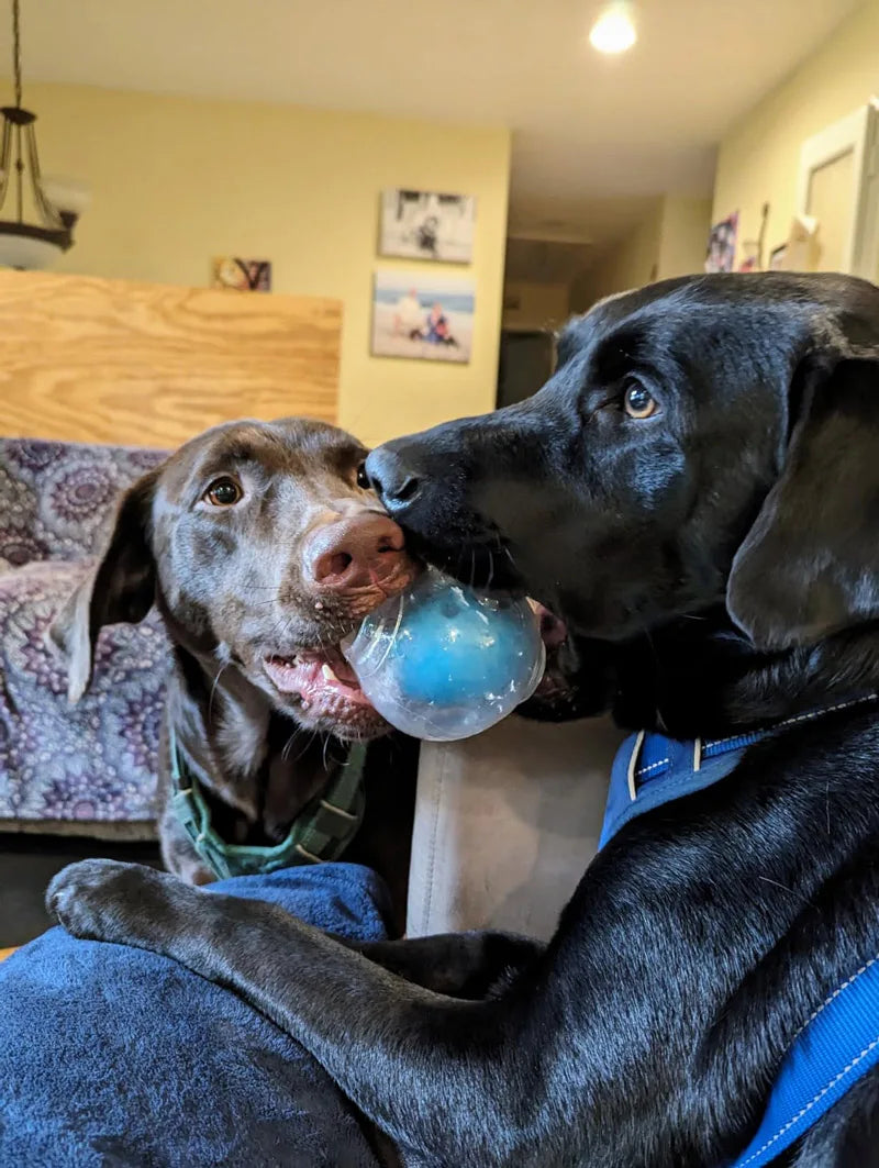 Amazing Squeaker Ball, Durable Floatable
