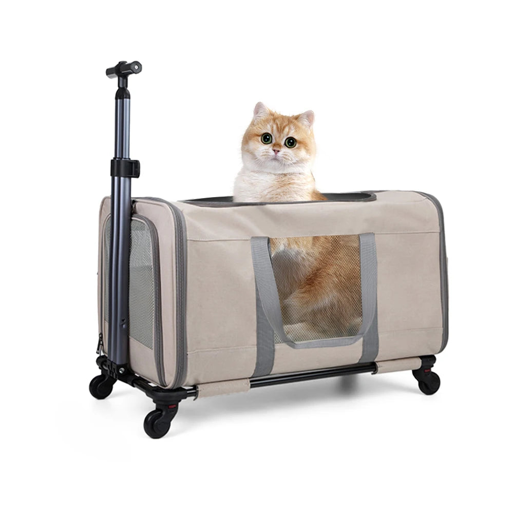 Cat Trolley/Transport for 2 cats