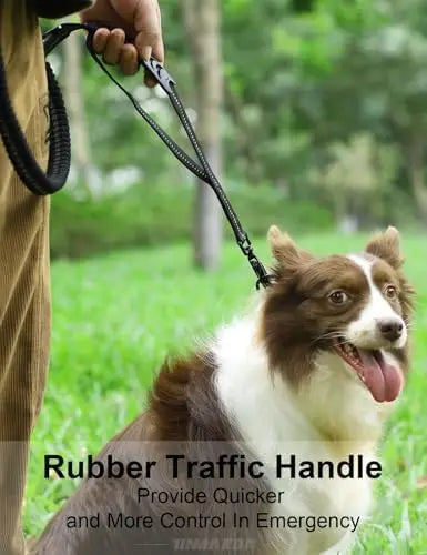 Durable leash for medium/large dogs,