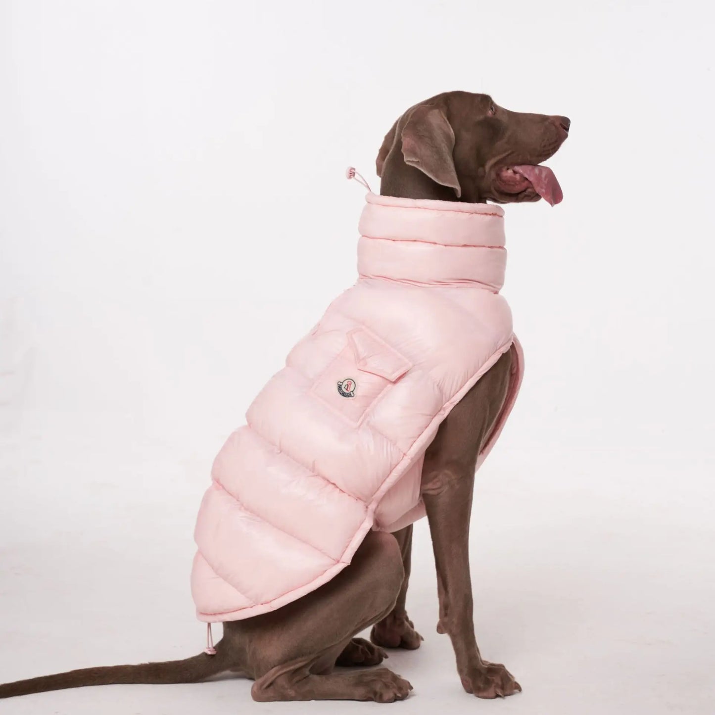 Warm, Windproof. Thick Down Coat