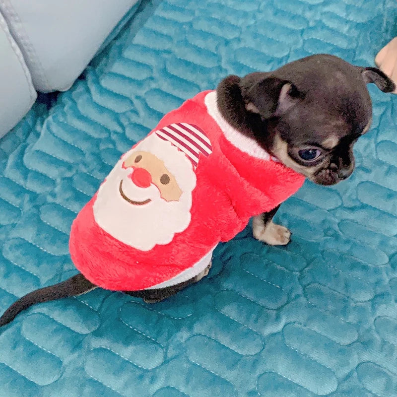 Cute Print Tea Cup Dog Sweater