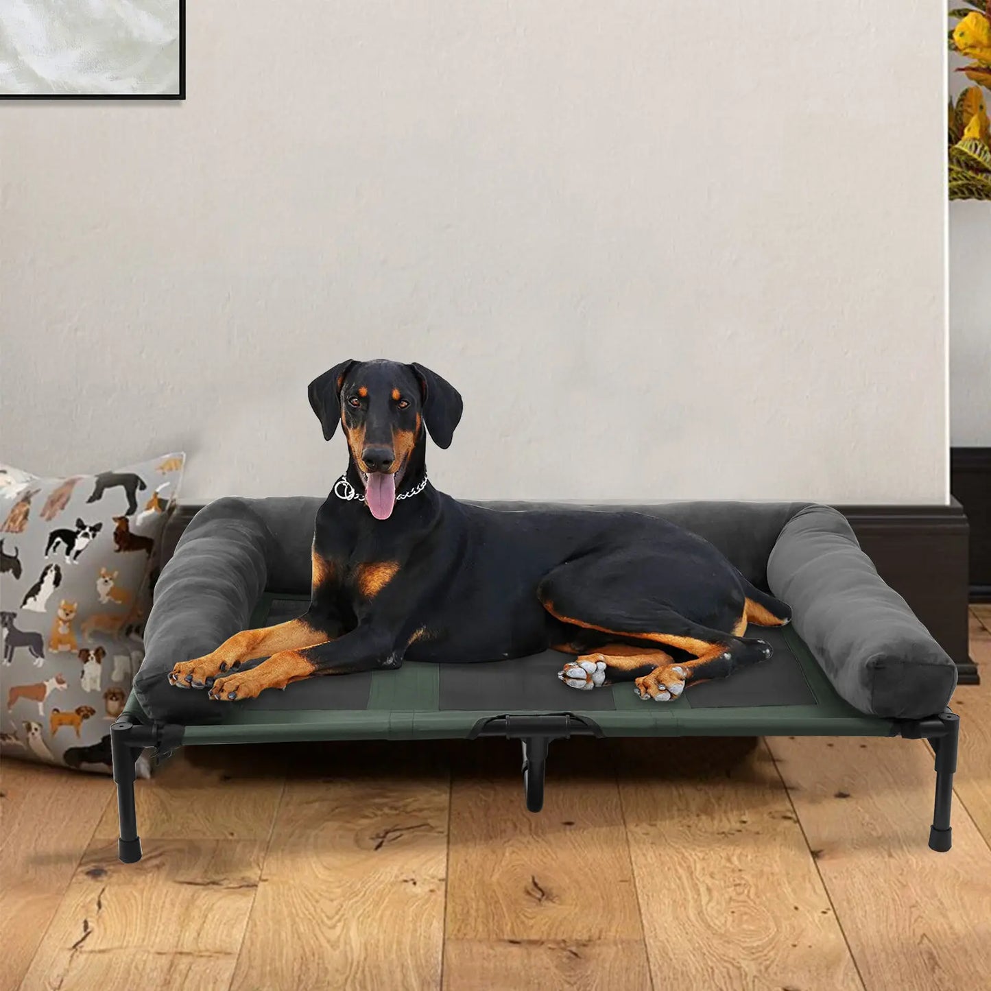 Elevated, Indoor & Outdoor Dog Bed